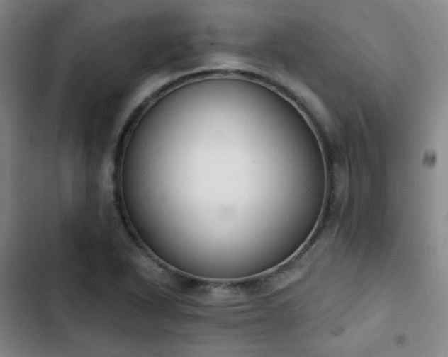 X0000102851318200808251153