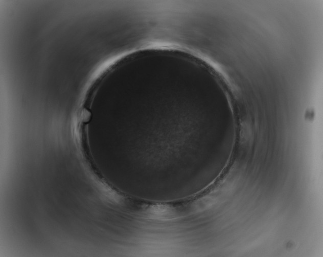 X0000102851319200808251153