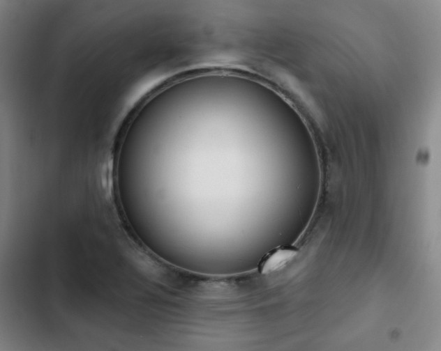 X0000102851320200808251153