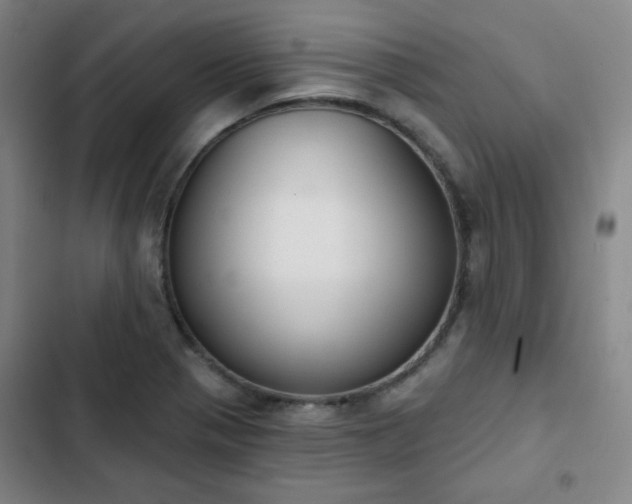 X0000102851321200808251153