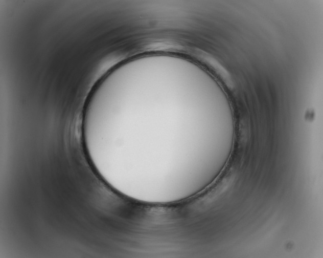 X0000102851322200808251153