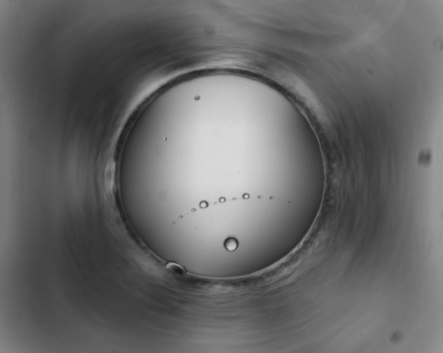 X0000102851324200808251153