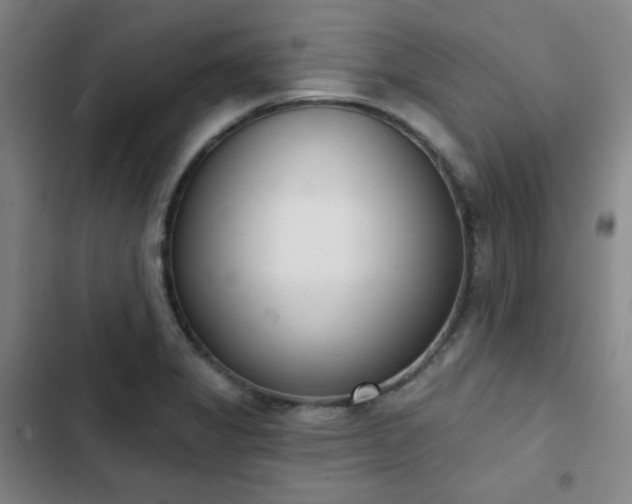 X0000102851325200808251153