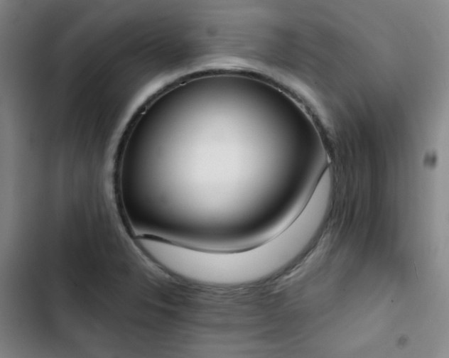 X0000102851326200808251153