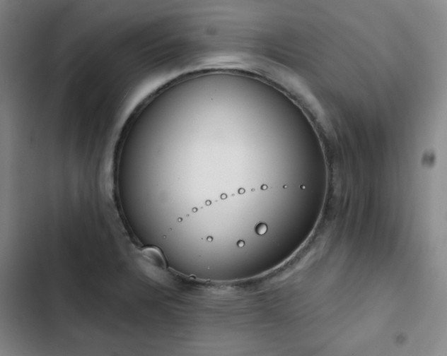 X0000102851328200808251153