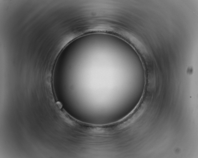 X0000102851329200808251153