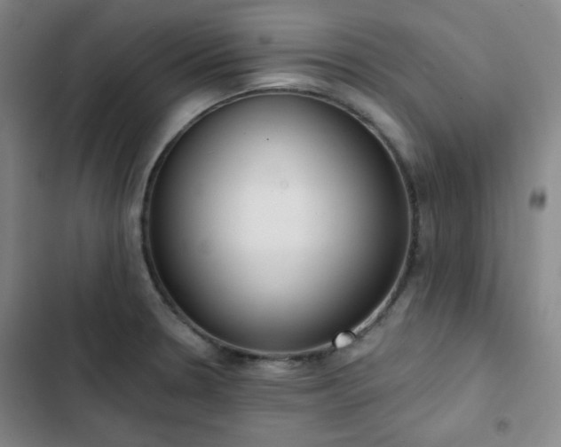 X0000102851330200808251153