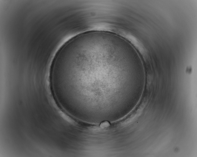 X0000102851331200808251153