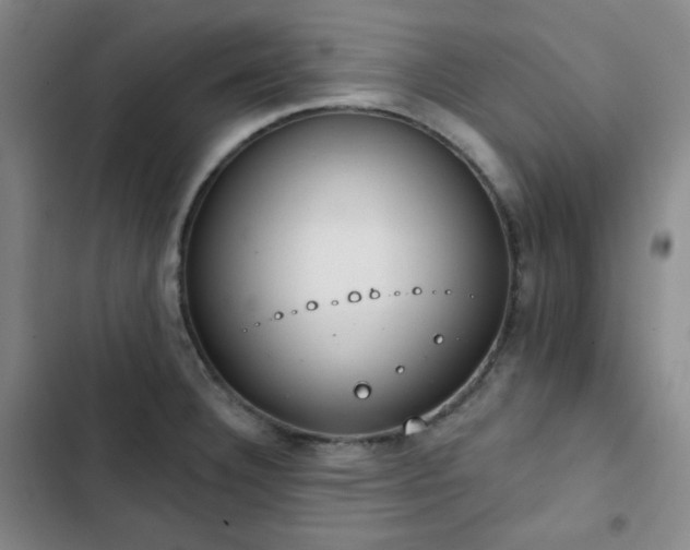 X0000102851332200808251153