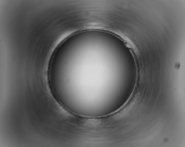 X0000102851333200808251153