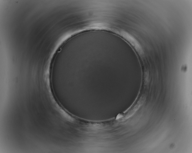 X0000102851334200808251153