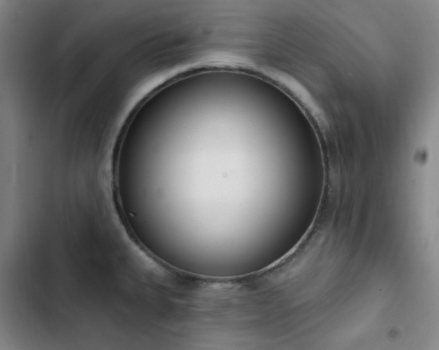 X0000102851335200808251153