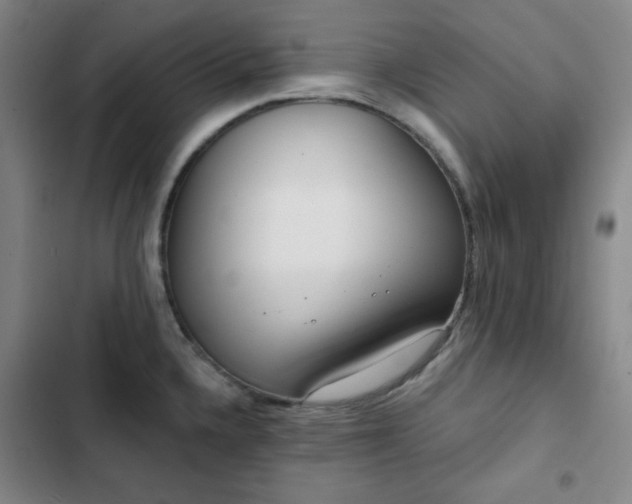 X0000102851336200808251153