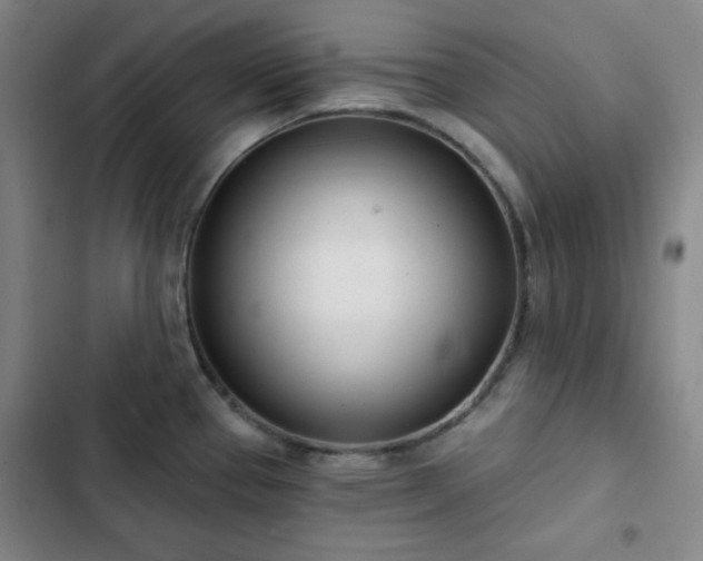X0000102851337200808251153