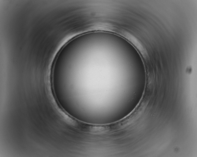 X0000102851339200808251153