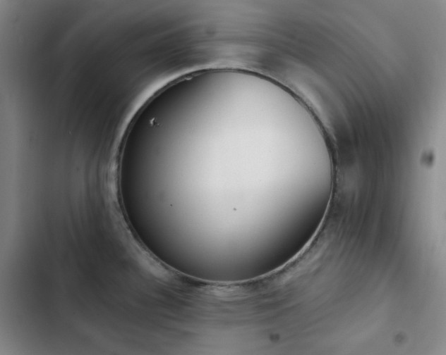 X0000102851340200808251153