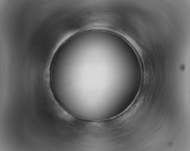 X0000102851341200808251153