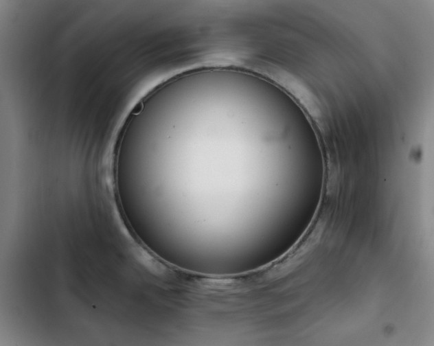X0000102851342200808251153