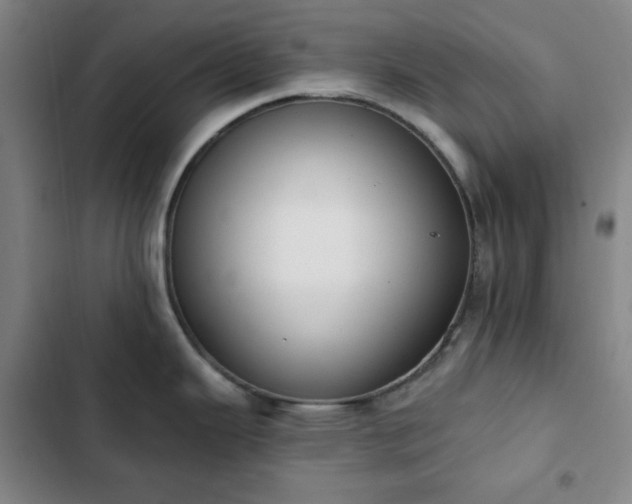 X0000102851343200808251153