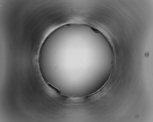 X0000102851344200808251153