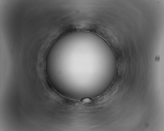 X0000102851345200808251152