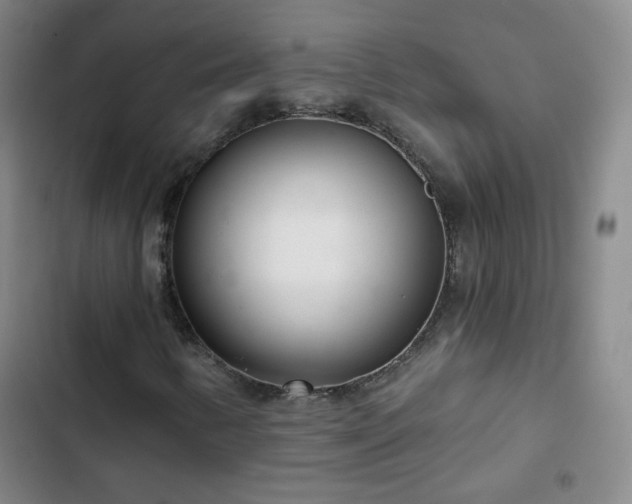 X0000102851346200808251152