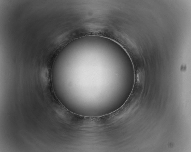 X0000102851347200808251152