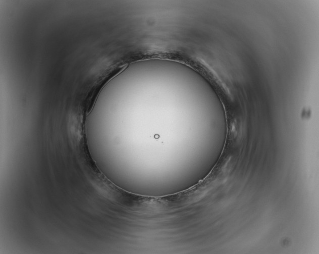 X0000102851348200808251152