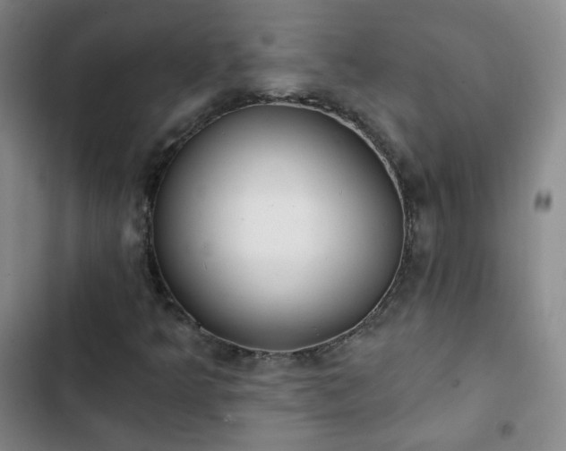 X0000102851349200808251152