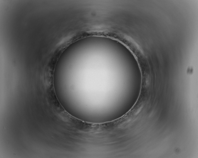 X0000102851350200808251152