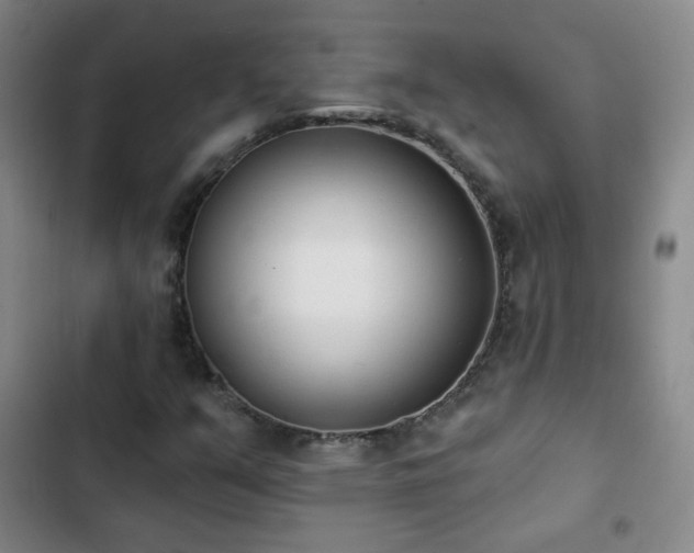 X0000102851351200808251152