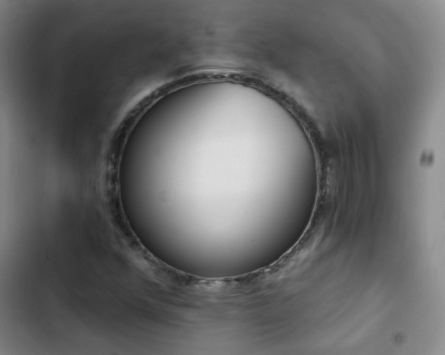 X0000102851352200808251152