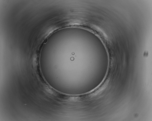 X0000102851353200808251152