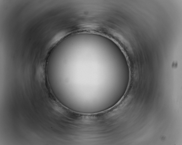 X0000102851354200808251152