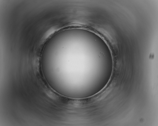 X0000102851355200808251152