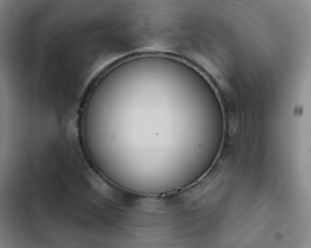 X0000102851356200808251152