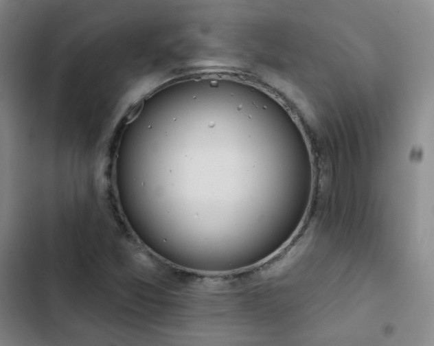 X0000102851357200808251152