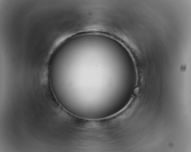 X0000102851358200808251152