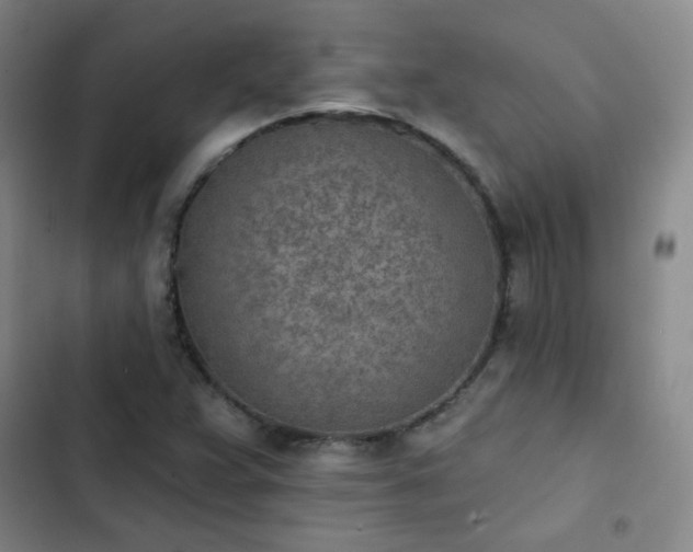 X0000102851359200808251152