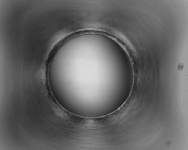 X0000102851360200808251152
