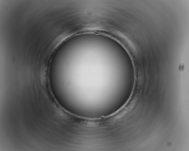 X0000102851361200808251152