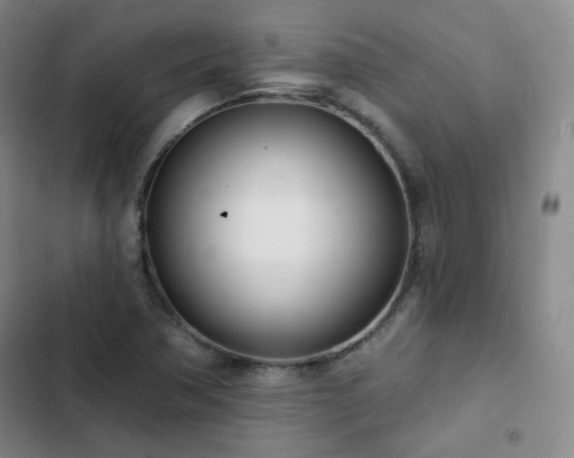 X0000102851362200808251152