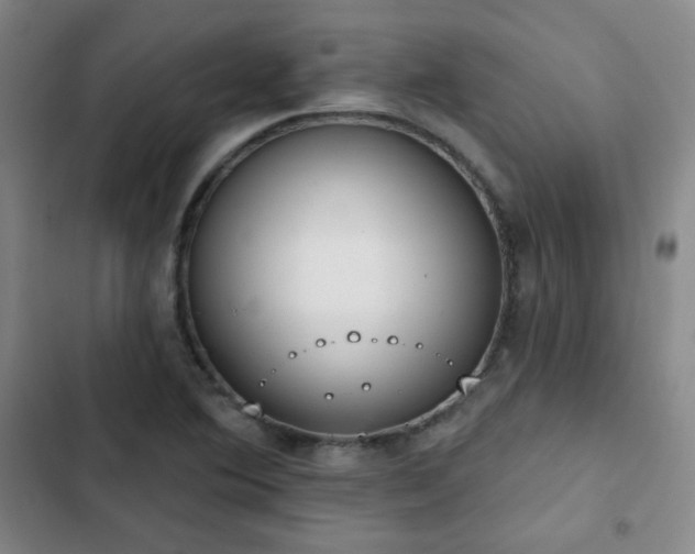 X0000102851364200808251152