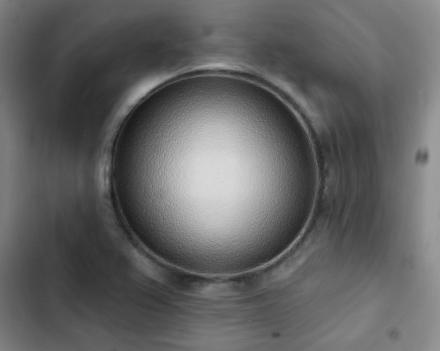 X0000102851367200808251152