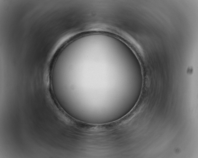 X0000102851368200808251152