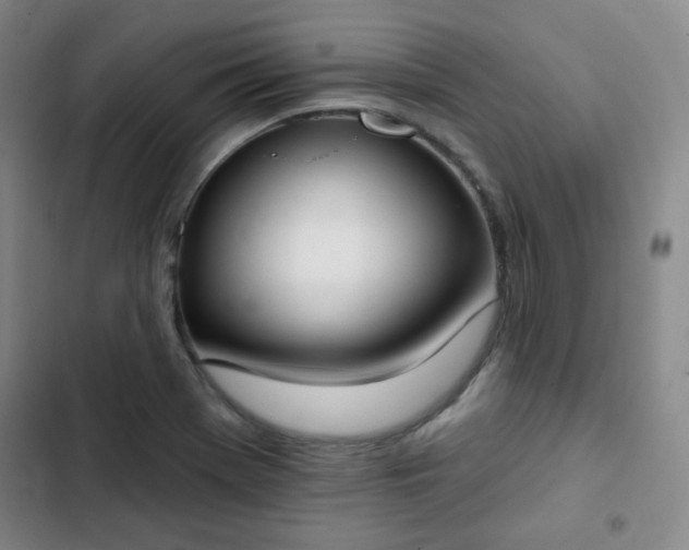 X0000102851369200808251152