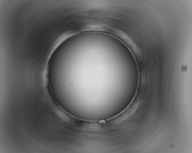 X0000102851370200808251152