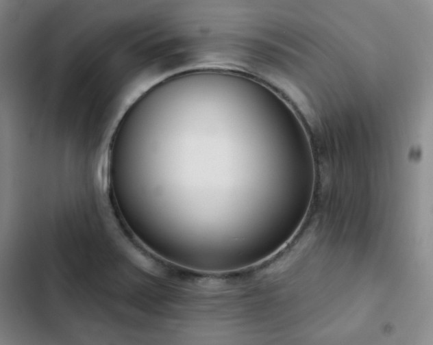 X0000102851371200808251152
