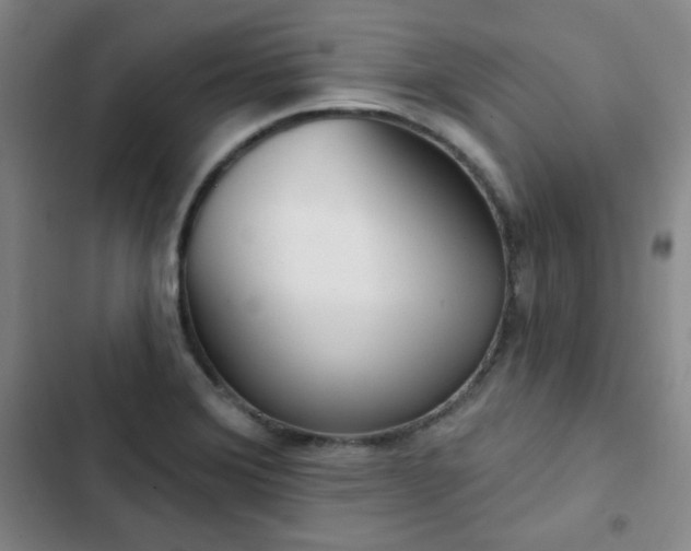 X0000102851372200808251152