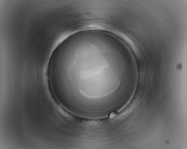 X0000102851373200808251152